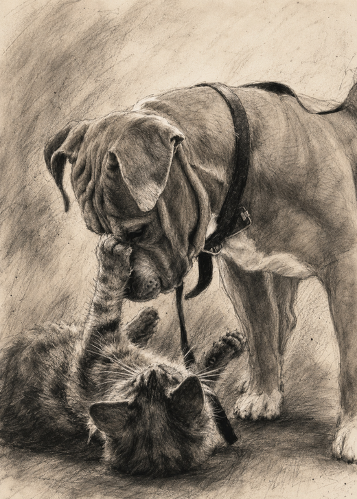 Affiche Animaux Fusain