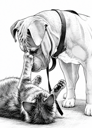 Affiche Animaux Manga personnalisee - apercu